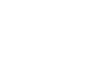 logo_newcastle