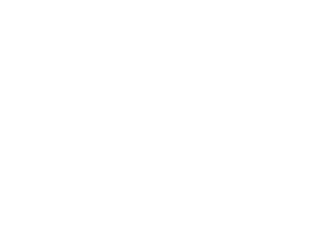 logo_sarinarusso