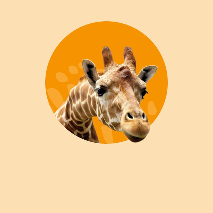 HubSpot CMS Implementation Agency Sydney | Webcoda HubSpot Partner
