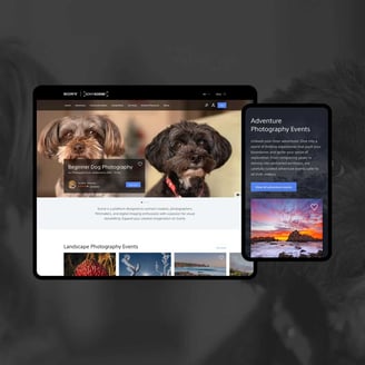 web-design-hero
